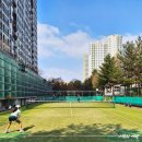 피키 | 윌슨 블레이드 V10 시타후기 ㅣ 3년 차 테린이가 처음 느낀 역대급 손맛 후기 + 피키셋업 깔맞춤룩