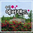 한가람조경 | [ 국내여행 ] 용인 에버랜드 장미축제