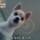 수영여성의원 | [임신준비#3] 자궁외임신 복강경 후기(청주 엠에스여성의원)