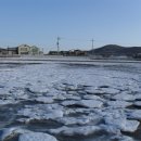 뜨리바다 이미지