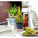 백화점약국 이미지