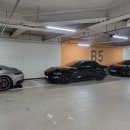 Legacy Mustang between Two Porches 이미지