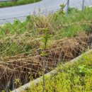 대호2농장 이미지