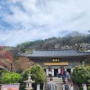 하동시장1 | 하동벚꽃 십리길의 끝자락에서 쌍계사 다녀온 후기