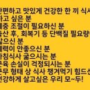 타워점핑다이어트 이미지