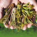 옥천 상계 체육시설 이미지