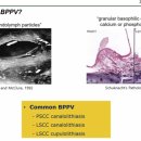 김창희 | 제 4회 NeuroEars 아카데미: 어지럼 웨비나 후기
