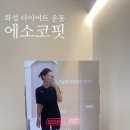 에소코핏화성 이미지