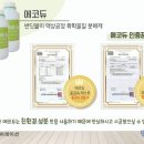 와이키즈학원 네이버블로그