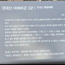 것대산 마애비군 이미지