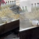 노점33