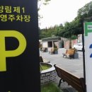 양림제 네이버블로그