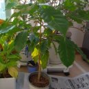 월포농장 이미지