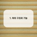 새하양서울치과의원 이미지