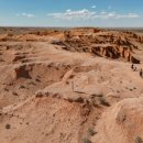 스타트레블 이미지