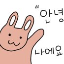 국수나무효자 이미지
