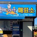 쇠소깍 공영 이미지