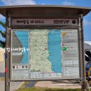 구도 어민회관 | 해파랑길18코스(화진해변-월포해변-이가리닻전망대-오도리해변-칠포해변)포항구간 지금이다걷기여행후기