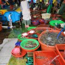 성포농장 이미지