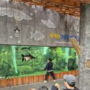 중부대로798번길 이미지