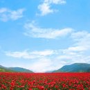 광교미소모아내과의원 이미지