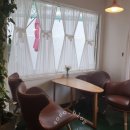 더봄(the봄) 이미지