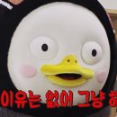 바디찬스짐 이미지