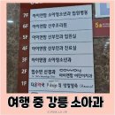 맘앤차일드소아청소년과의원 | 아이앤맘소아과 강릉 여행 중 방문한 강릉 소아과 (주말 오픈, 똑딱 가능, 입원실 있음)