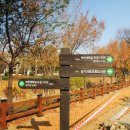 과천역 5번 출구 이미지