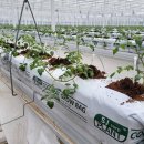 에스제이팜 이미지