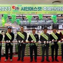 영동할인마트 이미지