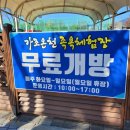 가조온천 | [경북 거창 가조면] 가조온천 족욕장 이용 후기
