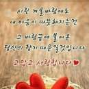 아침햇살담은농원