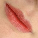 펄미에이트 이미지