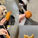 경동세차장 | 임신 38주, 39주 일상 - 유도분만 하기로 했어요