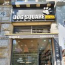 도그플러스 애견미용 이미지