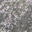 보령댐황토한증막 이미지