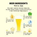 호피홀리데이 이미지