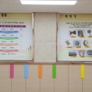 삼현초등학교 이미지