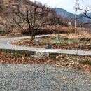 조성동농장 네이버블로그