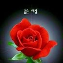 수요일 - 종로구 인사동길 36 | 수요일