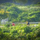 재섭농장 이미지