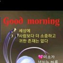 좋은인연 Daum카페