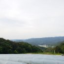 영덕공인중개사사무소 Daum카페