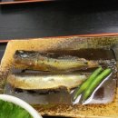 시장복어 이미지