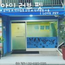 통일로 동물병원 이미지