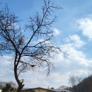 팔레드차밍리조트 이미지