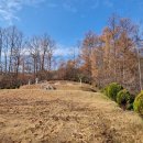 오자경 묘 이미지