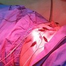 박민제한의원 이미지