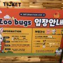 승연전자 | 인천서창 아기랑 가볼만한곳 요즘핫플 실내동물원 쥬벅스 39개월 아기 체험 후기